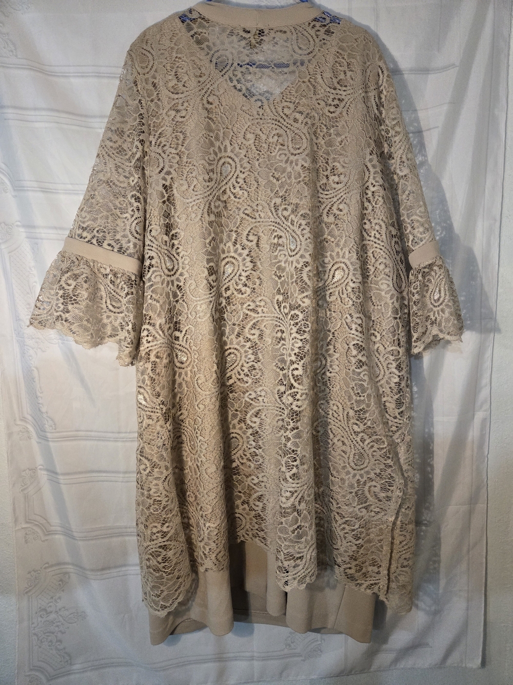 Maya Brooke Beige Lace Overlay Dress - Picture 5 of 12